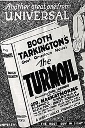 Poster The Turmoil (1924)