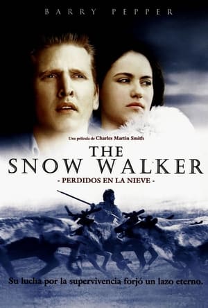 Poster Perdidos en la nieve 2003