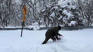 Snowday