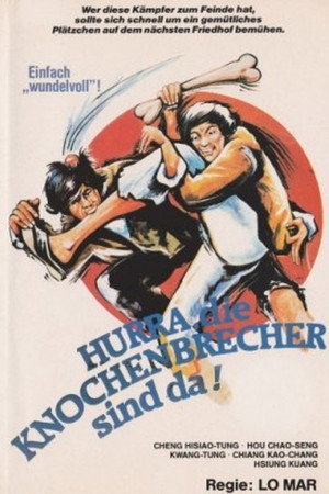 Monkey Kung Fu 13