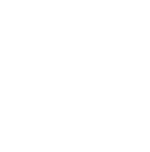 I Got Lucky: Survival Stories