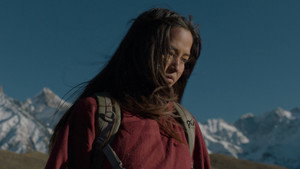 Himalayan Gold 15