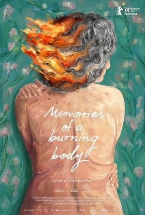 Image Memories of a Burning Body