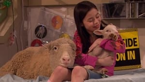 Drake & Josh: 3×11