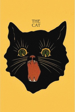 The Cat 29