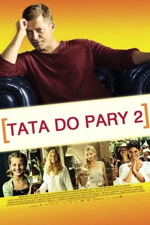 Poster Tata do pary II 2013