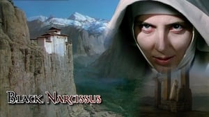 Black Narcissus