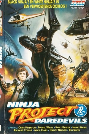 Poster di Ninja Project Daredevils