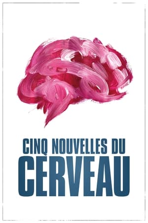 Cinq nouvelles du cerveau 2021