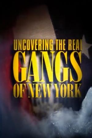 Image Uncovering the Real Gangs of New York