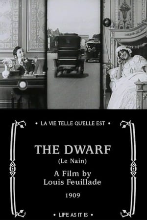 Image The Dwarf