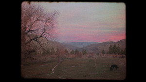 Image 4.5