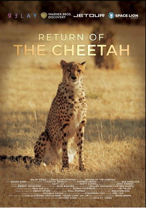 Return Of The Cheetah's Poster