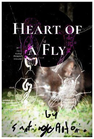 Heart of a Fly