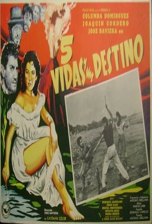 Cinco vidas y un destino poster