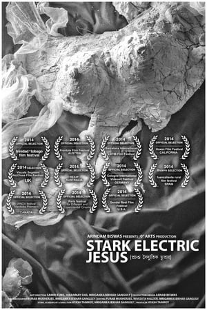 Poster Stark Electric Jesus (2014)