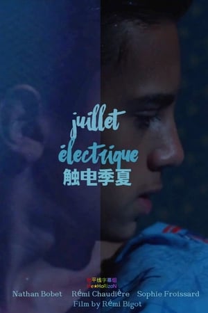 Poster Juillet électrique 2014