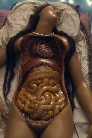 Four Unloved Women, Adrift on a Purposeless Sea, Experience the Ecstasy of Dissection