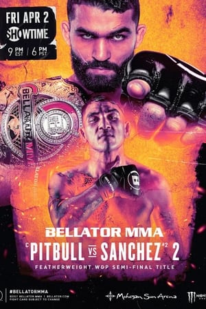 Poster Bellator 255: Pitbull vs. Sanchez 2 2021