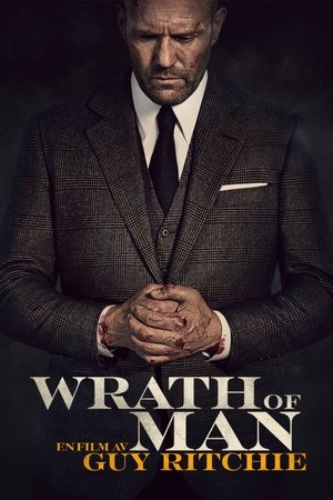 Image Wrath of Man