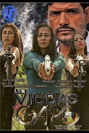 Poster Las Viudas del Capo 2016