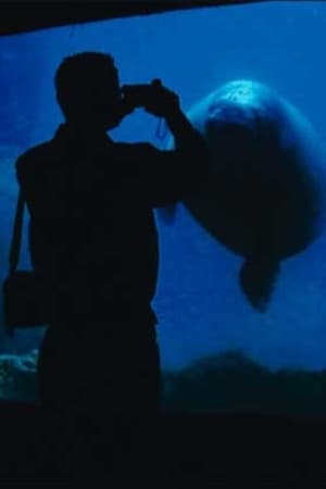 The Aquarium film complet