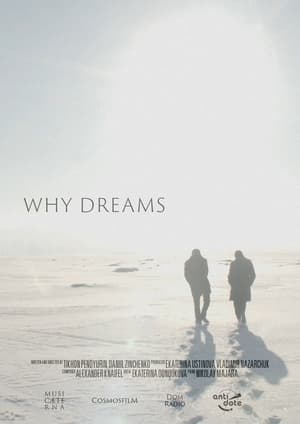 Image Why Dreams
