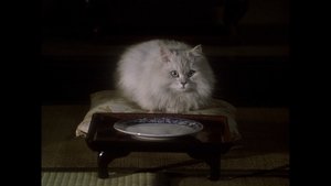 House (1977)