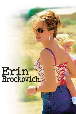 Poster Erin Brockovich 2000