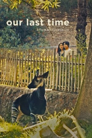 Poster Our Last Time 2025