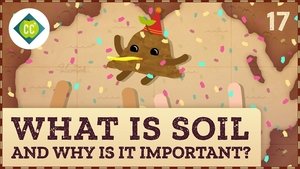 What is Soil (and Why is it Important)?