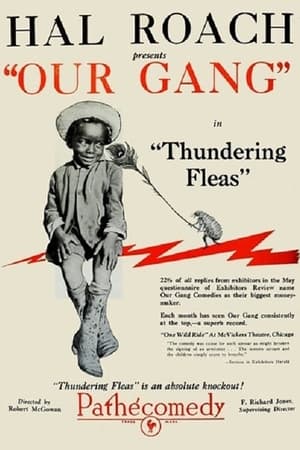 Poster Thundering Fleas 1926