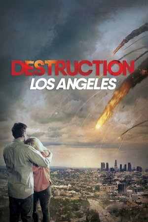 Image Destruction: Los Angeles