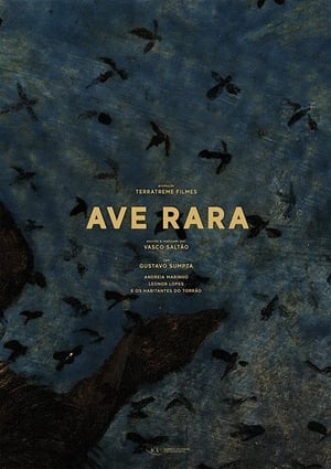 Poster Ave Rara (2019)