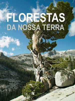 Image Florestas da nossa Terra