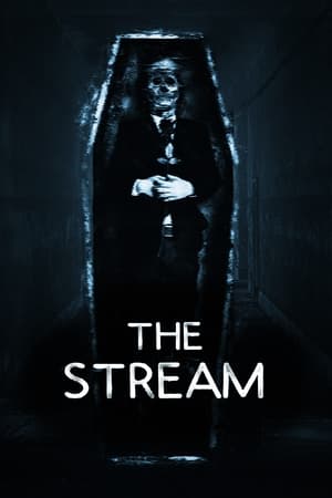 Poster The Stream 2017