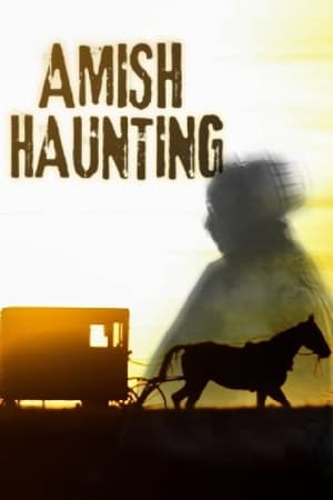 Poster Amish Haunting 2014