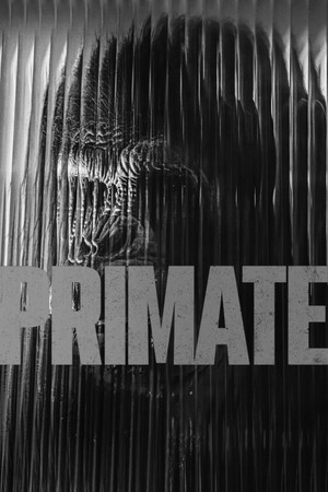 poster Primate