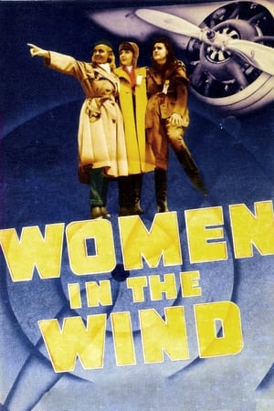 Poster Women in the Wind (1939)
