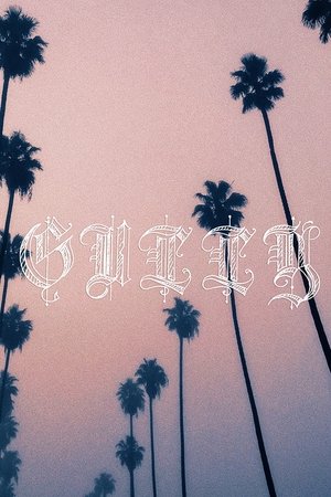 Gully - 2020 Gully - 2020