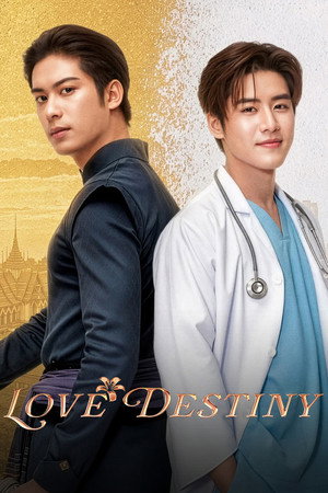 Love Destiny