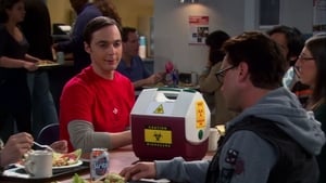 The Big Bang Theory Season 5 Episode 8