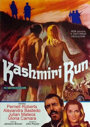 Poster The Kashmiri Run 1969