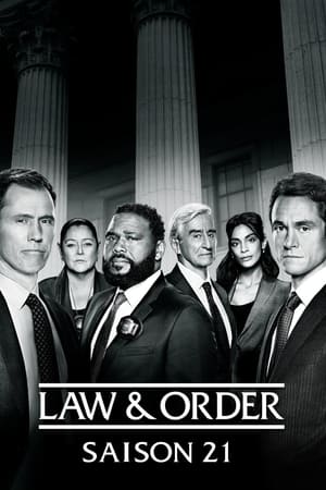 New York, police judiciaire: Saison 21