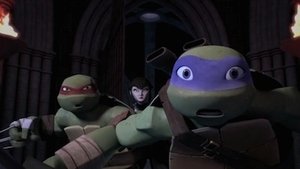 Teenage Mutant Ninja Turtles: 2×22