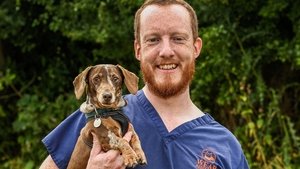 24/7 Pet Hospital Episode 3