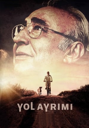 yol ayrımı