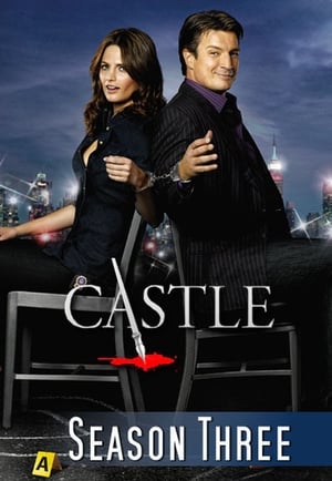 Castle: Saison 3