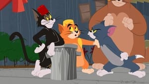 The Tom and Jerry Show Top Cat