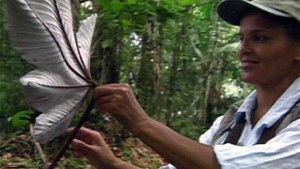 Still from Puerto Rico